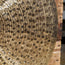 Paiste Signature Traditionals 22" Thin Ride - Used