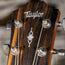 Taylor 312CESBLTD Road Show Tobacco Sunburst With OHSC - Used
