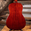 Wechter TO 8418 Triple 0 12 Fret With OHSC - Used