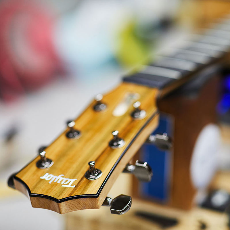 Taylor 2019 Custom Grand Auditorium Lutz Spruce/Blackheart Sassafras - BTO-11322