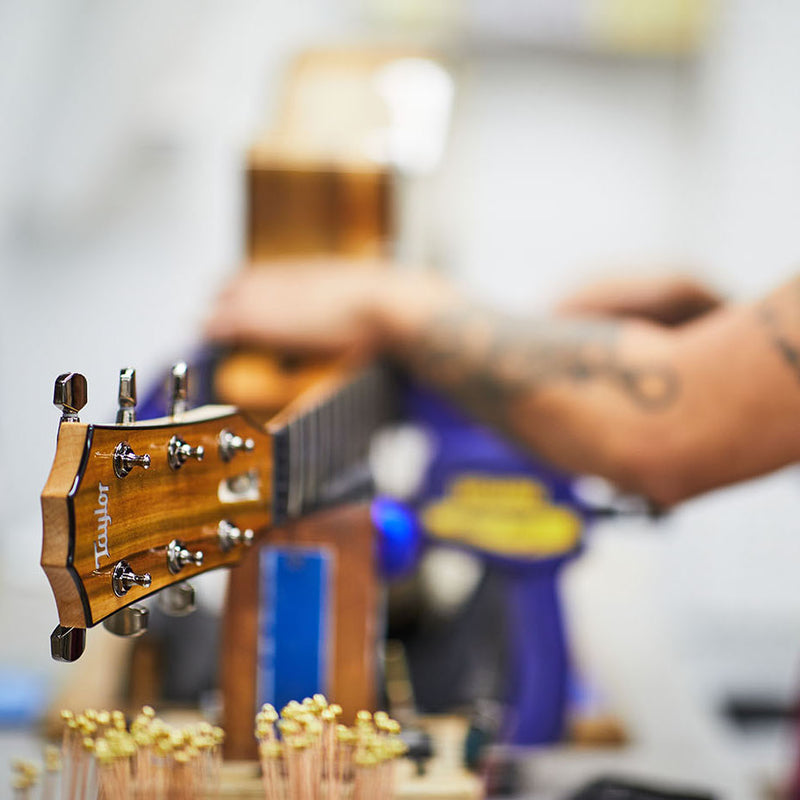 Taylor 2019 Custom Grand Auditorium Lutz Spruce/Blackheart Sassafras - BTO-11322