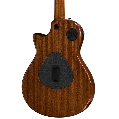 Taylor T5Z Custom Cocobolo - 2017 Roadshow Exclusive