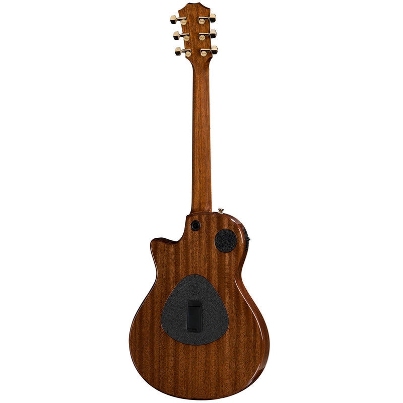 Taylor T5Z Custom Cocobolo - 2017 Roadshow Exclusive