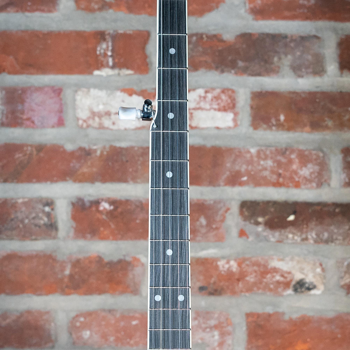 Washburn B9-WSH-A Banjo With Bag - Used
