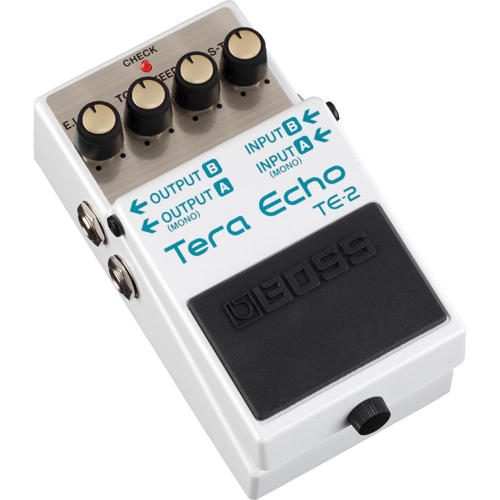 Boss Tera Echo Pedal