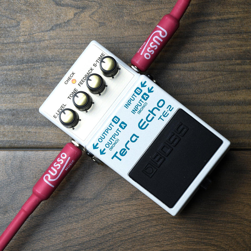 Boss Tera Echo Pedal