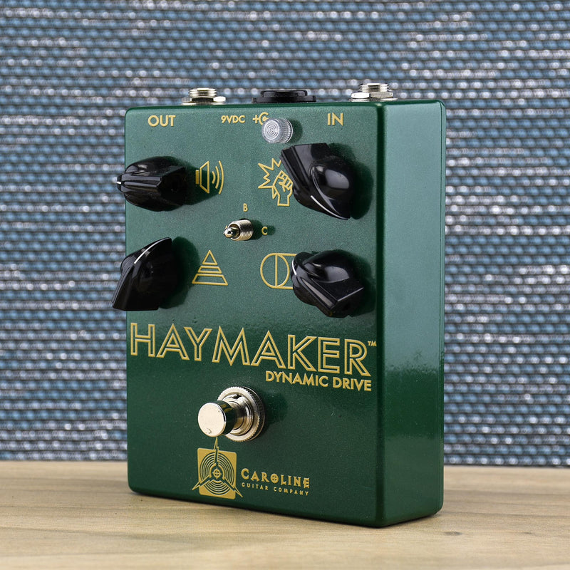 Caroline Haymaker Dynamic Drive