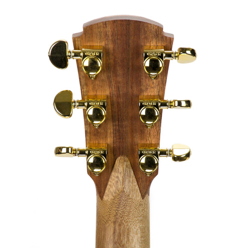 Cole Clark Angel 2 - Redwood and Blackwood