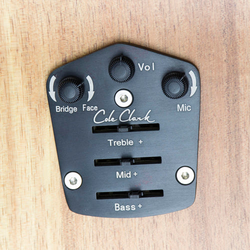 Cole Clark AN2EC-BLBL Angel 2 Blackwood Top and Sides