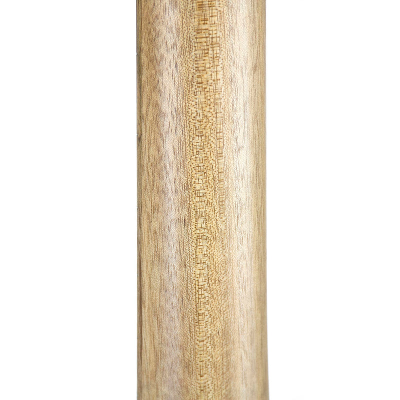Cole Clark AN2EC-BLBL Angel 2 Blackwood Top and Sides