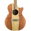Cole Clark AN2EC-RDBL Angel 2 Redwood / Blackwood