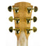 Cole Clark AN2EC-RDBL Angel 2 Redwood / Blackwood
