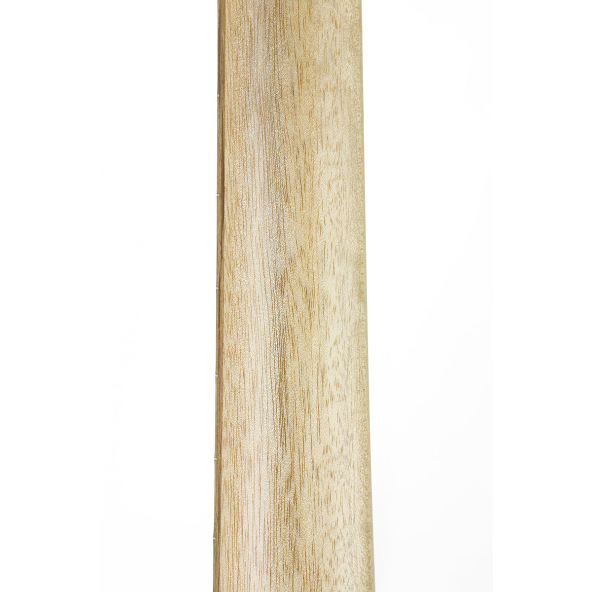 Cole Clark AN2EC-RDBL Angel 2 Redwood / Blackwood