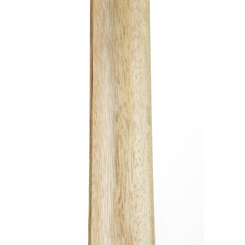 Cole Clark AN2EC-RDBL Angel 2 Redwood / Blackwood