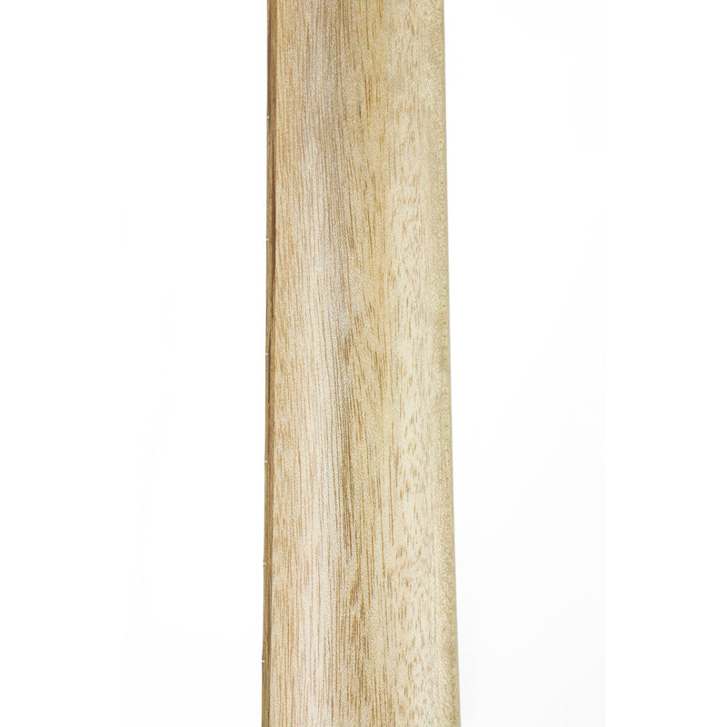 Cole Clark AN2EC-RDBL Angel 2 Redwood / Blackwood