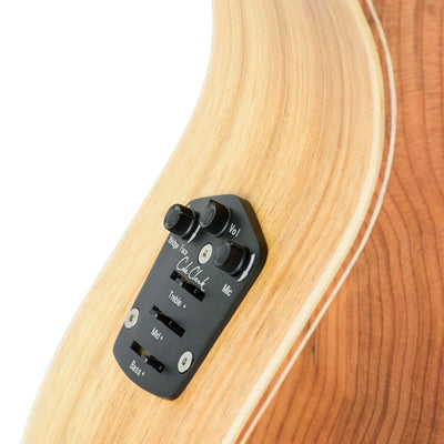 Cole Clark AN2EC-RDBL Angel 2 Redwood / Blackwood