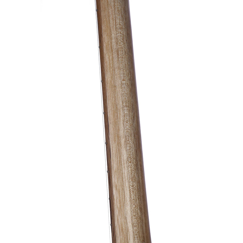 Cole Clark Angel 1 Bunya Face Queensland Maple Back & Sides