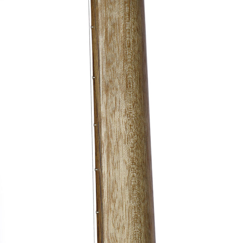 Cole Clark Angel 2 - Bunya and Australian Blackwood