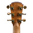 Cole Clark Angel 2 EC Redwood Face European Maple Back And Sides With Cutaway
