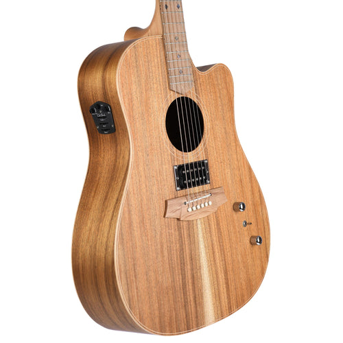 Cole Clark Fat Lady 2 Dreadnought Blackwood With Humbucker