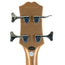 Epiphone Embassy Bass, Smoked Almond Metallic