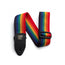 Ernie Ball Polypro Guitar/Bass Strap, Rainbow