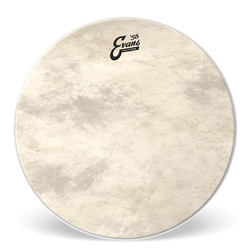 Evans 22 Inch Calftone Bass Drum Head
