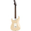 Fender 2019 Limited Edition American Professional Stratocaster Solid Rosewood, Desert Sand