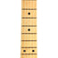 Fender 70th Anniversary Broadcaster Maple Fingerboard Blackguard Blonde