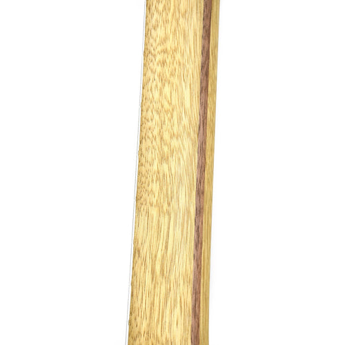 Fender American Acoustasonic Telecaster Exotic Cocobolo With Case Ebony Fingerboard