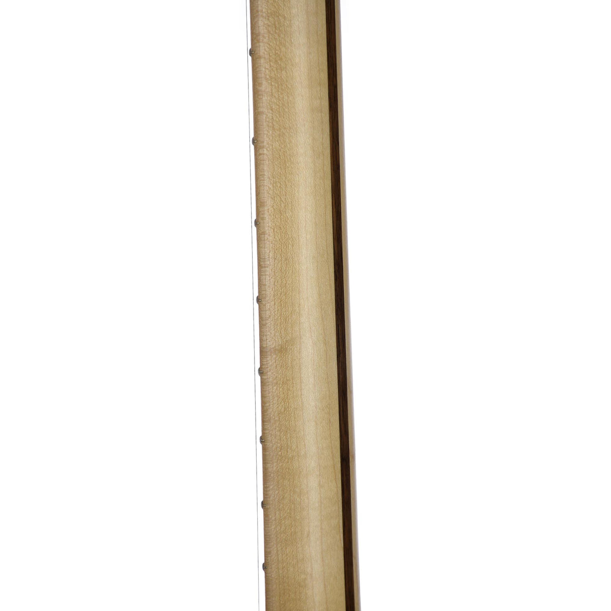 Fender American Performer Telecaster Maple, Penny