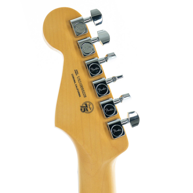 Fender American Professional II Stratocaster Rosewood, Dark Night