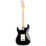 Fender American Professional Stratocaster - Black - Rosewood