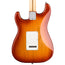 Fender American Professional Stratocaster - Sienna Burst - Rosewood