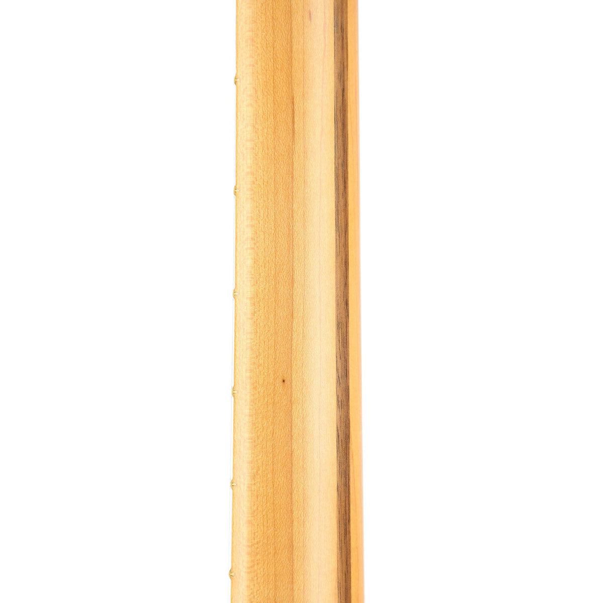Fender Britt Daniel Telecaster Thinline Maple Fingerboard Amarillo Gold