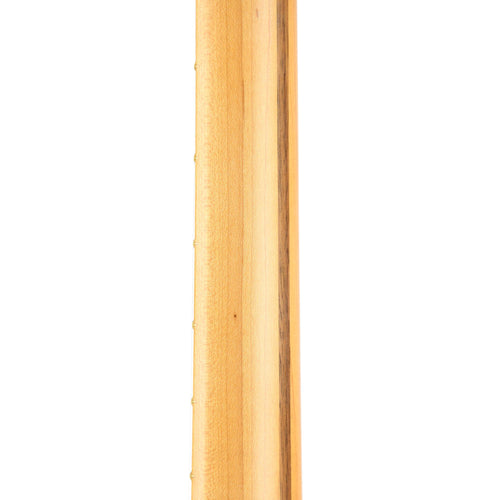 Fender Britt Daniel Telecaster Thinline Maple Fingerboard Amarillo Gold