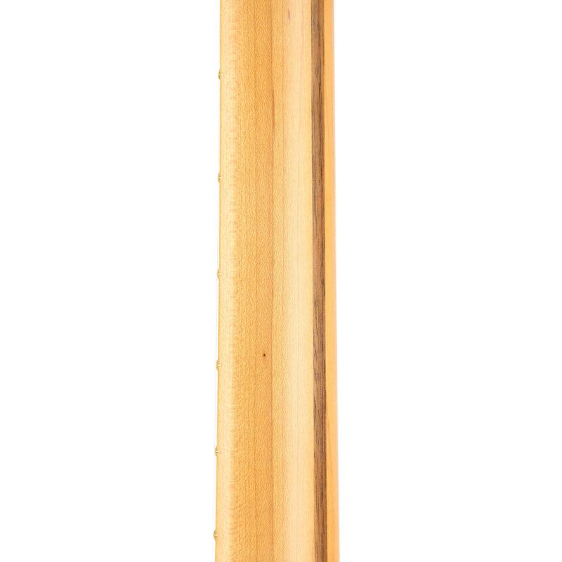 Fender Britt Daniel Telecaster Thinline Maple Fingerboard Amarillo Gold