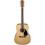 Fender CD-60 Dreadnought V3 With Case Walnut Fingerboard Natural
