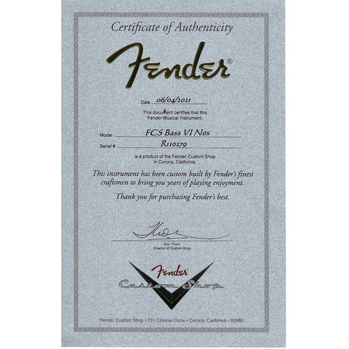 Fender Custom Shop Bass VI Rosewood, Aged Charcoal Frost Metallic