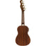 Fender G Vanderwaal Sig Uke WN With Bag