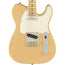Fender Limited Edition American Professional Light Ash Telecaster, Maple, Honey Blonde