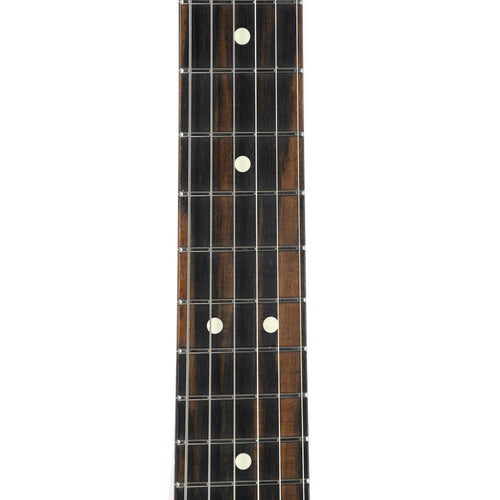 Fender Limited Edition American Professional Telecaster Ebony, Lake Placid Blue