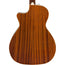 Fender Newporter Player Walnut, Natural