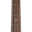Fender Player Plus Jazz Bass Pau Ferro, 3-Color Sunburst