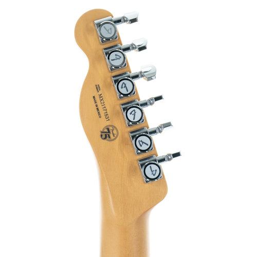 Fender Player Plus Nashville Telecaster Maple, Butterscotch Blonde