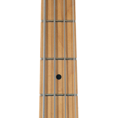 Fender Player Plus Precision Bass Maple, Cosmic Jade