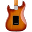 Fender Player Plus Stratocaster Electric Guitar, Pau Ferro, Sienna Sunburst