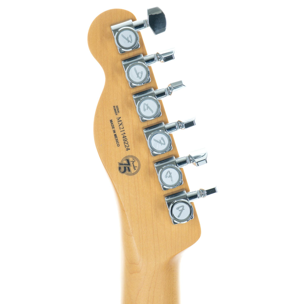 Fender Player Plus Telecaster Pau Ferro, Silver Smoke