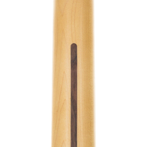 Fender Player Plus Telecaster Pau Ferro, Silver Smoke