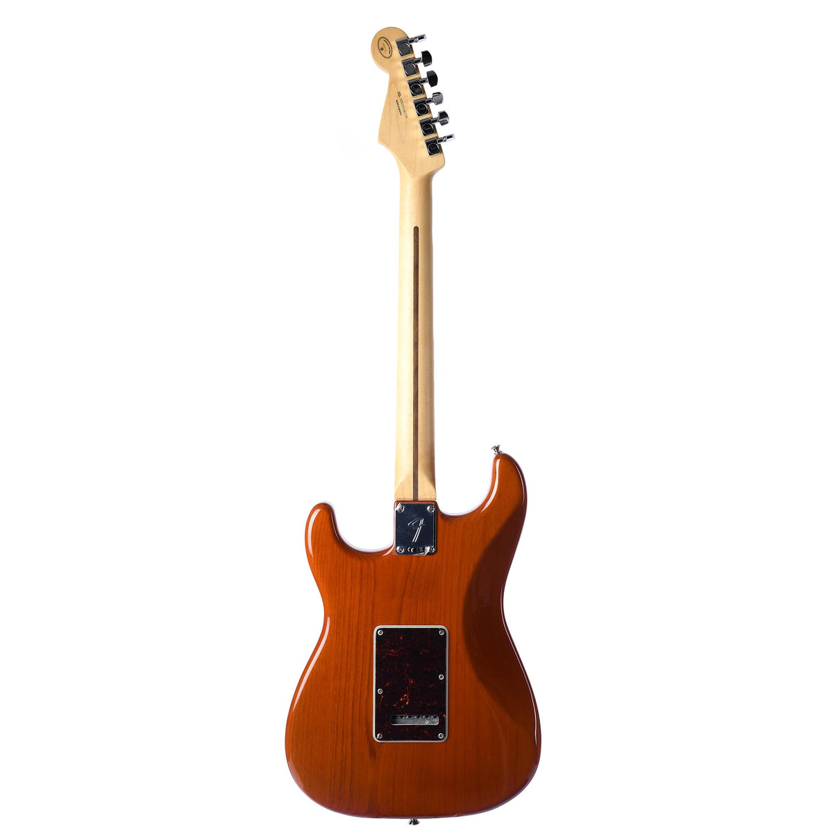 Fender Player Stratocaster Maple Fingerboard Aged Natural